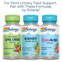 Thumbnail for SOLARAY Nettle Leaf 450mg Healthy Kidney, Urinary & Prostate Support Traditional Use for Healthy Allergy Response & Respiratory Wellness 180 CT