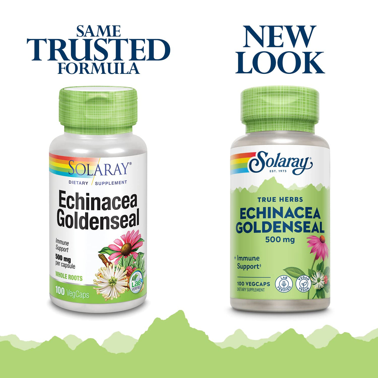 SOLARAY Echinacea Root & Goldenseal Root Supplement - 500 mg per Serving, Non-GMO, Vegan & Lab Verified - 100 Count VegCaps