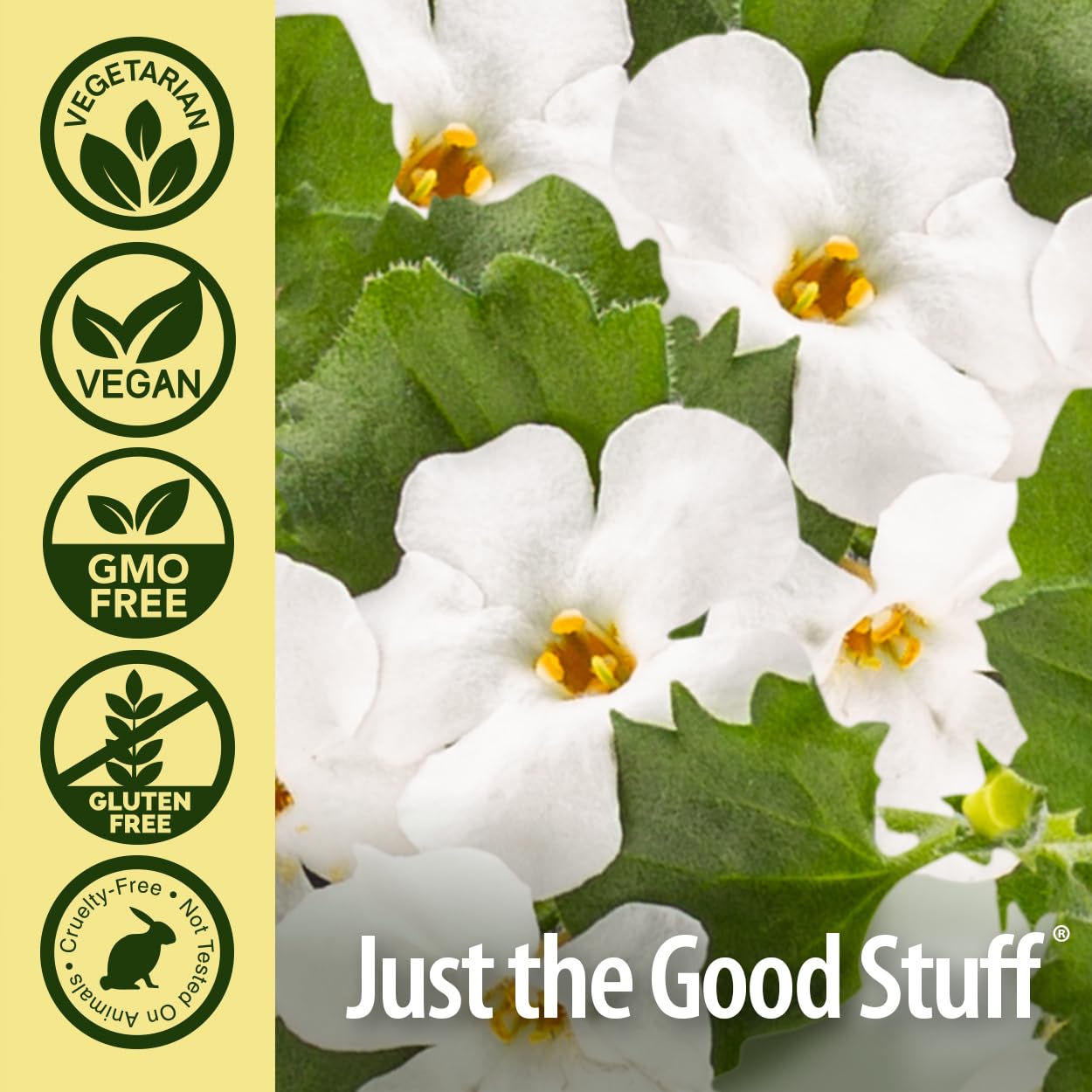 Nature's Answer Bacopa Monnieri | Helps Improve Memory | NON-GMO| No Preservatives | Gluten-Free, Vegan & Vegetarian â€“ 500mg (90 Capsules)
