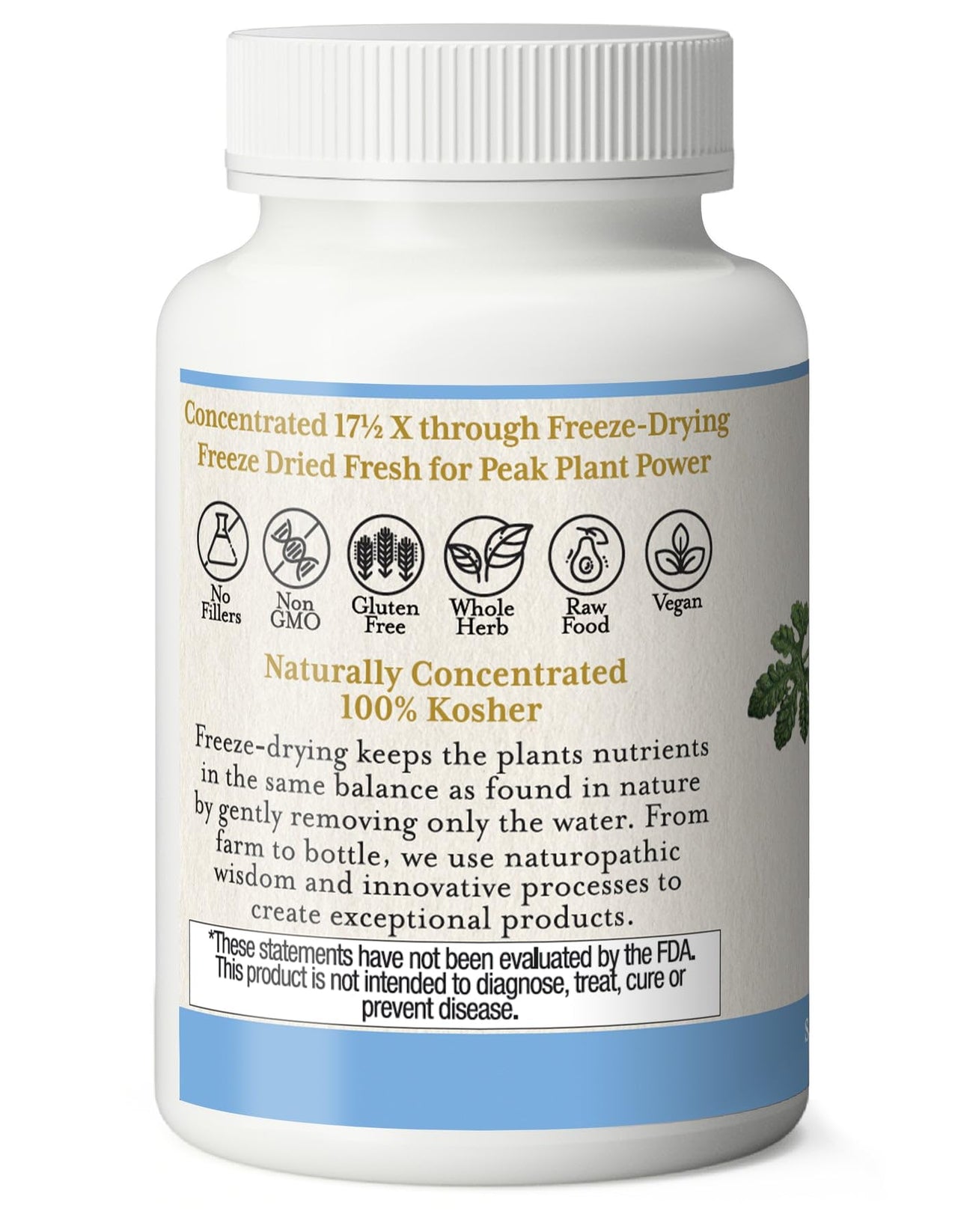 Eclectic Institute Raw Freeze-Dried Non-GMO Bitter Melon | 90 CT