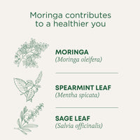 Thumbnail for Traditional Medicinals Tea, Organic Moringa Spearmint & Sage - Everyday Wellness - Kosher, Non-GMO, Caffeine-Free - 16 Tea Bags