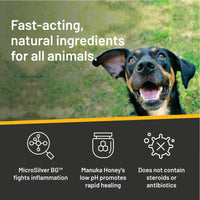 Thumbnail for Absorbine Silver Honey Rapid Ear Care Vet Strength Ear Rinse, 4oz, Manuka Honey & MicroSilver BG, Safe for Dogs & Cats