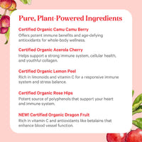 Thumbnail for PURE SYNERGY Pure Radiance C | Organic Vitamin C Capsules | 100% Natural, Whole Food, Non-GMO Supplement with Organic Camu Camu | for Immune and Collagen Support (90 Capsules)