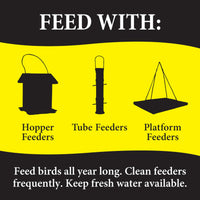 Thumbnail for Wild Delight Advanced Formula Bugs N Berries Wild Bird Food 4.5 lbs