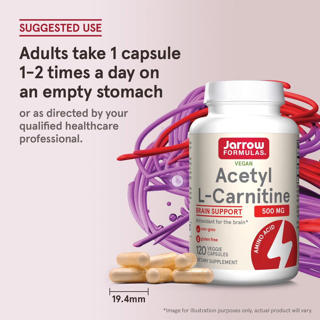 Jarrow Formulas® Acetyl L-Carnitine 500 mg, Dietary Supplement, Amino Acid Support for Brain Health and Antioxidants, 120 Veggie Capsules, 120 Day Supply