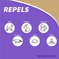 Thumbnail for Bonide Repels-All Animal Repellent, 32 oz Ready-to-Use Spray, Outdoor Garden Deer & Rabbit Repellent, People & Pet Safe