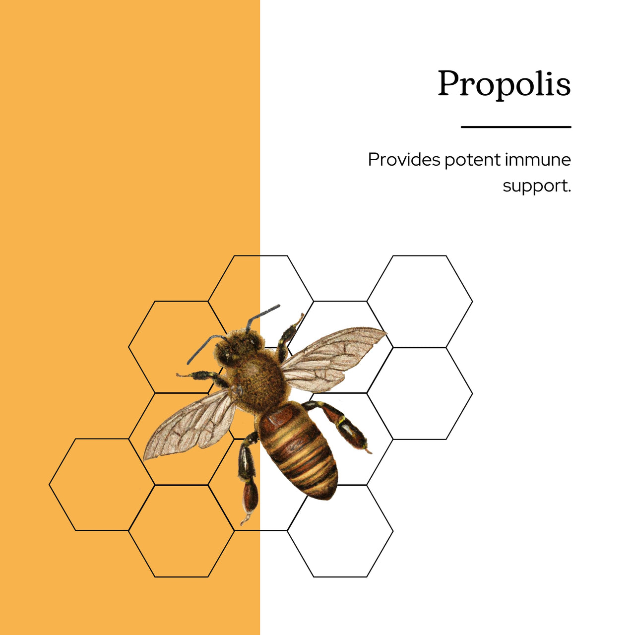 Eclectic Institute Propolis G, Orange, 2 Fluid Ounce