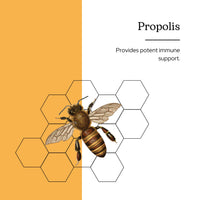 Thumbnail for Eclectic Institute Propolis G, Orange, 2 Fluid Ounce
