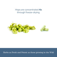 Thumbnail for Eclectic Herb - Hops Capsules | Natural Relaxation & Sleep Support | Antioxidant Support | Herbal Supplement | Vegan, Non-GMO, Gluten Free, Freeze-Dried (90 CT | 200 mg)