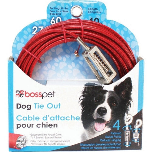 Buy Boss Pet Tie-Out W/ Spring 40 FT by Boss Pet Online At Low