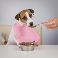 Thumbnail for SPOT Stainless Steel Mirror Finish Bowl, Durable Chew-Proof Food/Water Dish for Mini Dogs, Small Dogs, and Puppies, 2 Cups (16 oz) Capacity