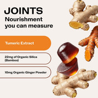 Thumbnail for Vimergy NutriDense Fruitylicious Turmeric + Ginger Chewables (300mg Turmeric Extract, 22mg Silica, 10mg Ginger per Serving) Vegan, No Artificial Sweeteners, Mobility Support, 30 Servings (60 Count)