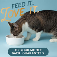 Thumbnail for The Missing Link Pet Kelp Feline Well-Being 6oz Superfood Powdered Supplement, Organic & Limited Ingredient Formula for Digestive & Overall Health of Cats