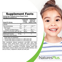 Thumbnail for NaturesPlus Animal Parade Vitamin C Children's Chewable - Natural Orange Juice Flavor - 90 Animal-Shaped Tablets, Pack of 2 - Vegan, Vegetarian, Gluten Free - 90 Total Servings