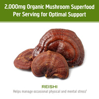 Thumbnail for Om Mushroom Superfood Reishi Organic Mushroom Powder, 100 Servings, Organic Adaptogen Powder for Stress Relief and Immune Health