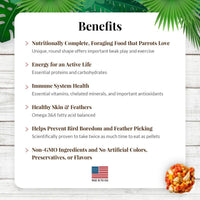 Thumbnail for LAFEBER'S Tropical Fruit Nutri-Berries Pet Bird Food, Made with Non-GMO and Human-Grade Ingredients, for Parrots, 3 lb