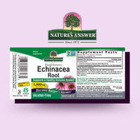 Thumbnail for ature's Answer Echinacea Extract | Supports a Healthy Immune System | Vegan, Gluten-Free, Alcohol-Free, Non-GMO & Kosher Certified | 1oz