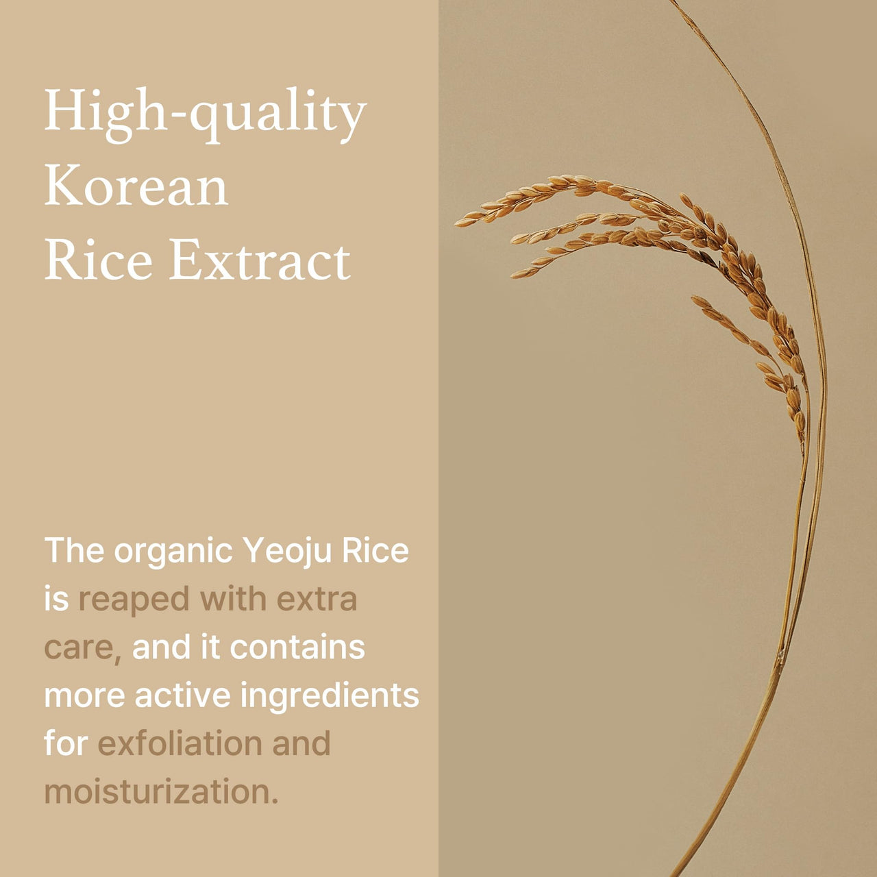 I'm from Rice Mask 3.88 Oz, Gentle Exfoliating Wash Off Facial Mask for Dull, Rough Skin, Pore Clearing, Remove Dead Skin Cells, Uneven Skin Tone, Smooth Skin, Moiustirinzg, Radiant