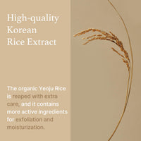 Thumbnail for I'm from Rice Sheet Mask Pack of 5, Korean Rice Face Mask, Creamy Hydration for Dry, Combination Skin, Moist, Milky Essence, Biodegradable, Vegan, Hypoallergenic, 20ml