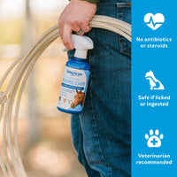 Thumbnail for Vetericyn Plus Horse Wound Care Spray | Equine Healing Aid and Skin Repair, Clean Wounds, Relieve Itchy Skin. 16 ounces