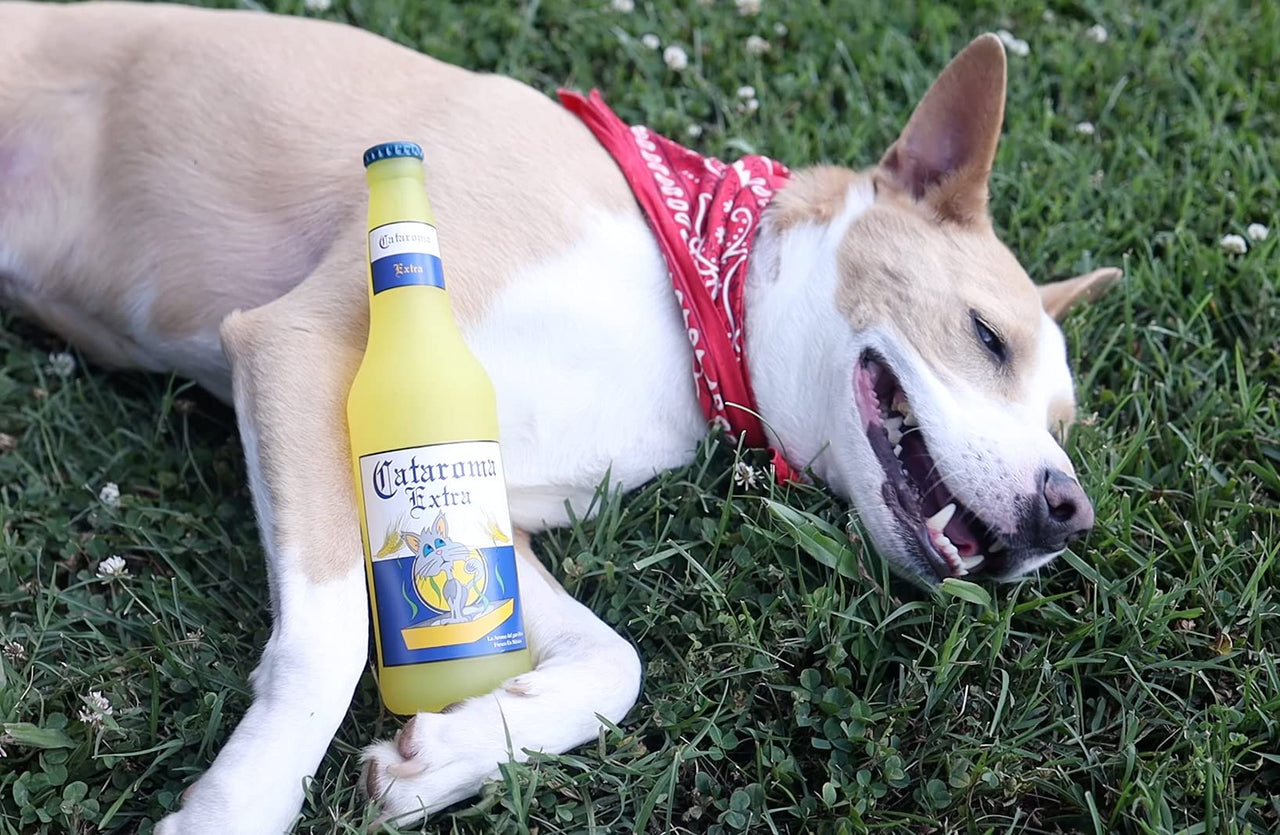 SILLY SQUEAKERS - Beer Bottles - Dog Toy - 100% Vinyl. Made Durable & Strong. Novelty Play Toy. Many Bottles to Choose from and They Float (Cataroma, Single)