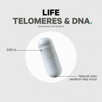 Thumbnail for Codeage Ultra Life Telomeres Supplement - 5 MTHF Folate Vitamin B9, Vitamin B12 Methylcobalamin, Vitamin D3, L-Theanine, Ashwagandha - 3-Month Supply - DNA, Methylation Cycle - Non-GMO - 90 Capsules