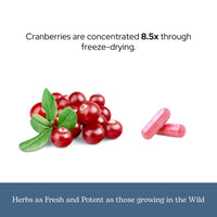 Thumbnail for Eclectic Herb - Premium Freeze Dried Cranberry Capsules | Urinary Tract Support | Cranberry Supplement for Urinary Tract Health | US-Grown, Organic, Non-GMO, Gluten Free, Vegan (120 CT | 300 mg)