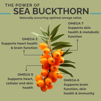 Thumbnail for SEABUCKWONDERS Organic Sea Buckthorn Oil Omega-7 Complete, 120 Softgels, 60 Day Supply, with Omega 3, 6 & 9, Supports Hair, Skin & Nails, 100% Pure with Zero Filler Oil