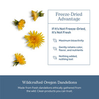 Thumbnail for Eclectic Herb - Raw Freeze-Dried Dandelion Leaf Capsules | Supports Cleansing, Digestive Function & Heart Health | Natural Herbal Supplement | Organic, Non-GMO, Vegan, Whole Herb (90 CT | 200 mg)
