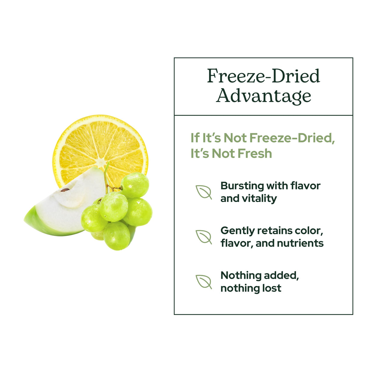 Eclectic Institute Raw Fresh Freeze-Dried Quercetin Flavonoid Complex, Whole Food Powder | 3.2 oz (90 g)