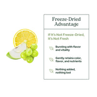 Thumbnail for Eclectic Institute Raw Fresh Freeze-Dried Quercetin Flavonoid Complex, Whole Food Powder | 3.2 oz (90 g)