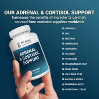 Thumbnail for Dr. Berg Adrenal & Cortisol Capsules - Adrenal Supplement & Cortisol Manager - Mood, Focus, Relaxation and Stress Support - Adrenal Supplements with Ashwagandha Extracts - 60 Capsules