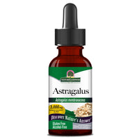Thumbnail for Nature's Answer Astragalus Root | Promotes Overall Health & Wellbeing | Super Concentrated 2000mg | Alcohol-Free, Gluten-Free, Kosher Certified & No Preservatives 1oz