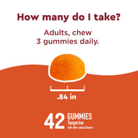 Thumbnail for Nature Made Wellblends ImmuneMAX Gummies, Vitamin C, Zinc, and Vitamin D3, Immune Support Supplement, 42 Tangerine Flavor Gummies