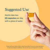 Thumbnail for Youtheory Turmeric Extra Strength - 1,000 mg - Supports Brain, Muscle & Joint Health* - Contains Bioenhancers, Curcuminoids & Herbal Extracts - USP Verified - 60 Vegetarian Capsules (30-Day Supply)