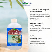 Thumbnail for Eidon Liquid Potassium Supplement - Potassium Chloride Drops for Women & Men, Essential Electrolyte for Cell Function, Bioavailable Ionic Minerals, All Natural, No-Preservatives, Gluten Free - 18 oz