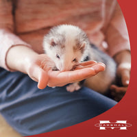 Thumbnail for Marshall Premium Ferret Diet 4 Pound Food Bag Pellet