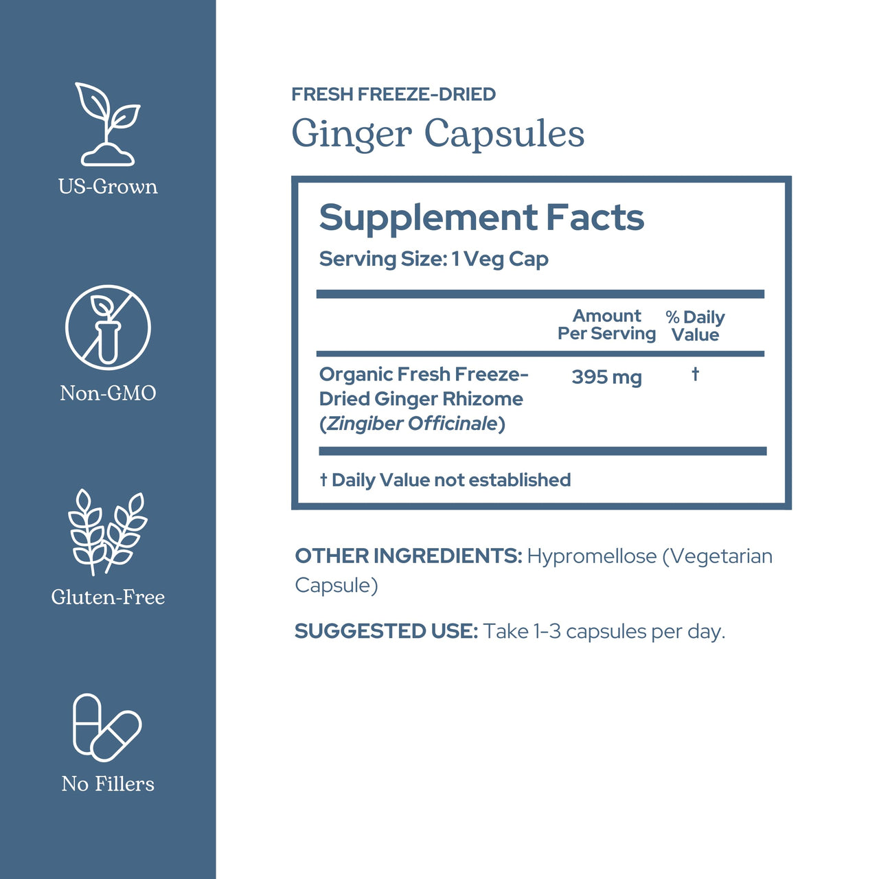 Eclectic Herb - Ginger Capsules | Antioxidants for Heart Support & Digestive Health | Herbal Supplement | US-Grown, Organic, Vegan, Non-GMO, Gluten Free (90 CT | 395 mg)