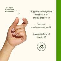 Thumbnail for Swanson Niacinamide Vitamin B3 Supplement for Heart-Health-Conscious Adults Supporting Joint Health and Energy Production (250 Capsules, 250 mg Each)