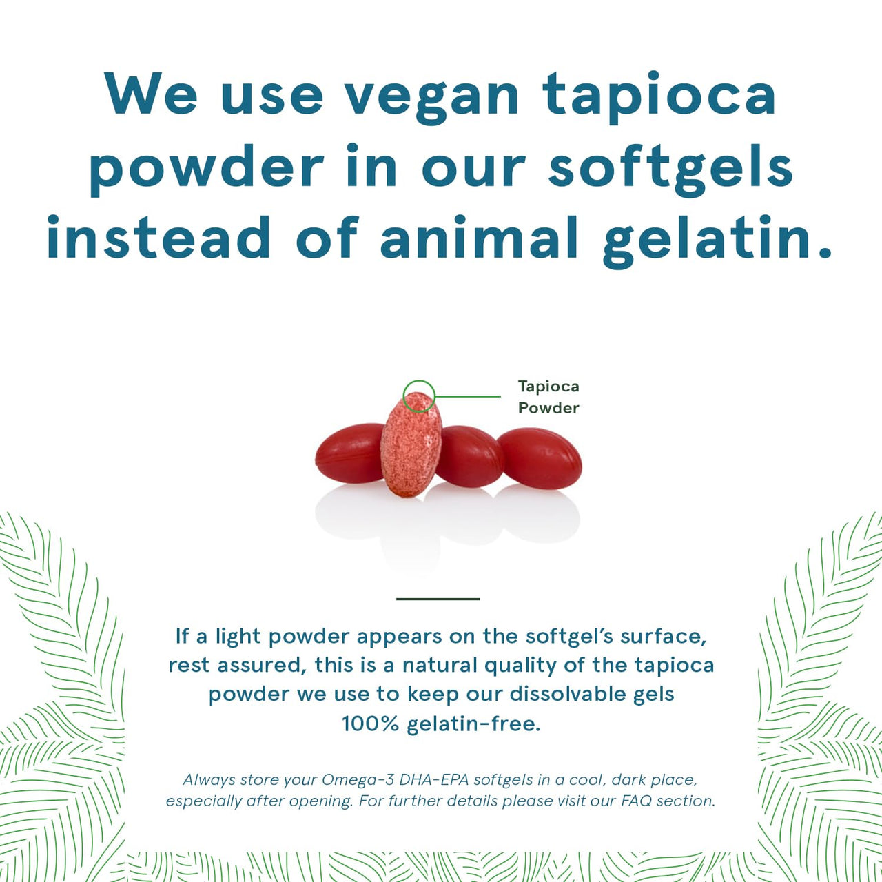 DEVA Vegan Omega-3 DHA-EPA 500MG – No Carrageenan, Non-Fish Oil Derived from Algae, Non-GMO, 60 Gelatin-Free Softgels