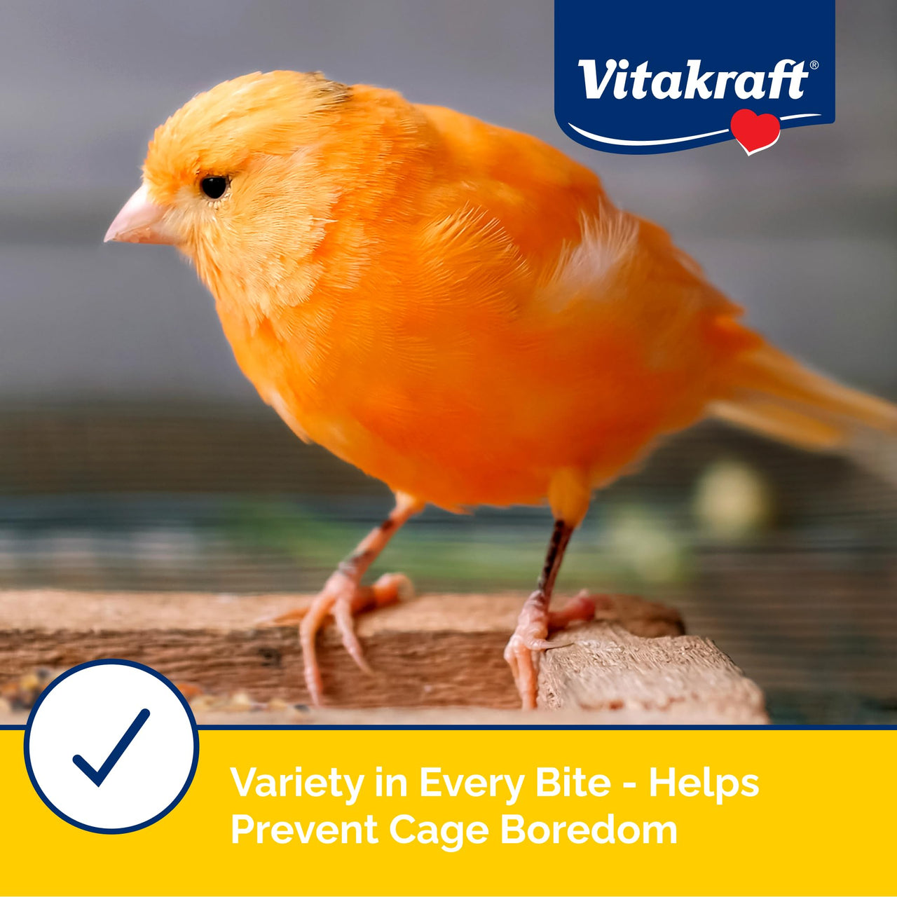 Vitakraft Menu Premium Canary and Finch Food - Vitamin-Fortified - Daily Food for Small Pet Birds Browns 2.5 Pound (Pack of 1)