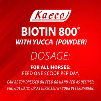 Thumbnail for KAECO GROUP INC BIOTIN 800 Powder 6LB D/S