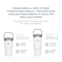 Thumbnail for Stanley IceFlow Stainless Steel Tumbler with Straw - Vacuum Insulated Water Bottle for Home, Office or Car Reusable Cup Leak Resistant Flip Cold 12 Hours Iced 2 Days (Pool)