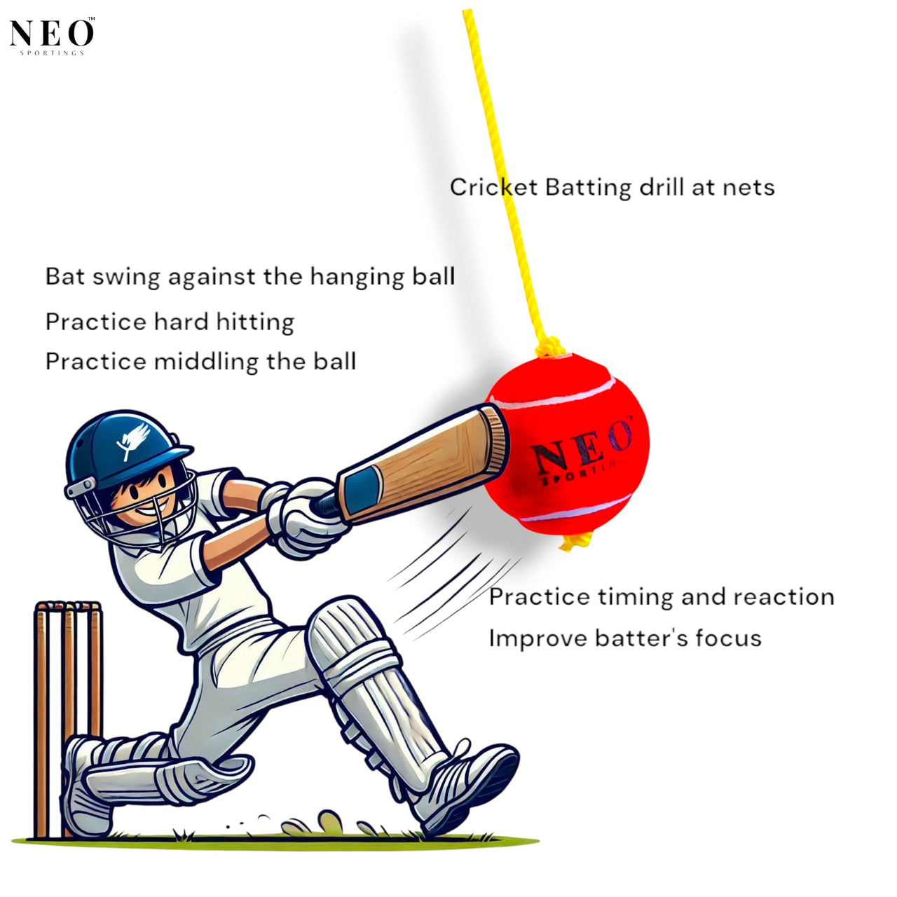 Neo Sportings Training/Playing/Hanging Ball with 3 Meter Nylon Rope, for Practice and Drill, Cricket/Baseball/Pet Toy, Red Colour (1)