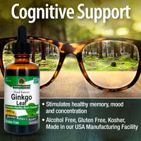 Thumbnail for Nature's Answer Alcohol-Free Ginkgo Leaf 2000mg 2oz Extract | Stimulates Memory, Mood & Concentration | Gluten-Free, Kosher Certified & No Preservatives | Single Count
