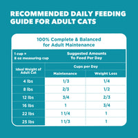 Thumbnail for IAMS Proactive Health Dry Cat Food, Indoor Weight and Hairball Care Cat Food Dry Recipe, with Salmon, 3.5 lb. Bag