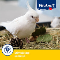 Thumbnail for Vitakraft Crunch Sticks Cockatiel Treat Apricot Peach Flavor - Triple Baked Long Lasting Bird Treats with Natural Wood Chew Center for Beak Health and Enrichment - 3.5 oz.