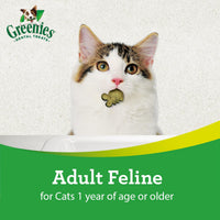 Thumbnail for Greenies Cat Treats, Feline Veterinarian-Recommended Adult Natural Dental Treats, Catnip Flavor, 2.1 oz. Pouch