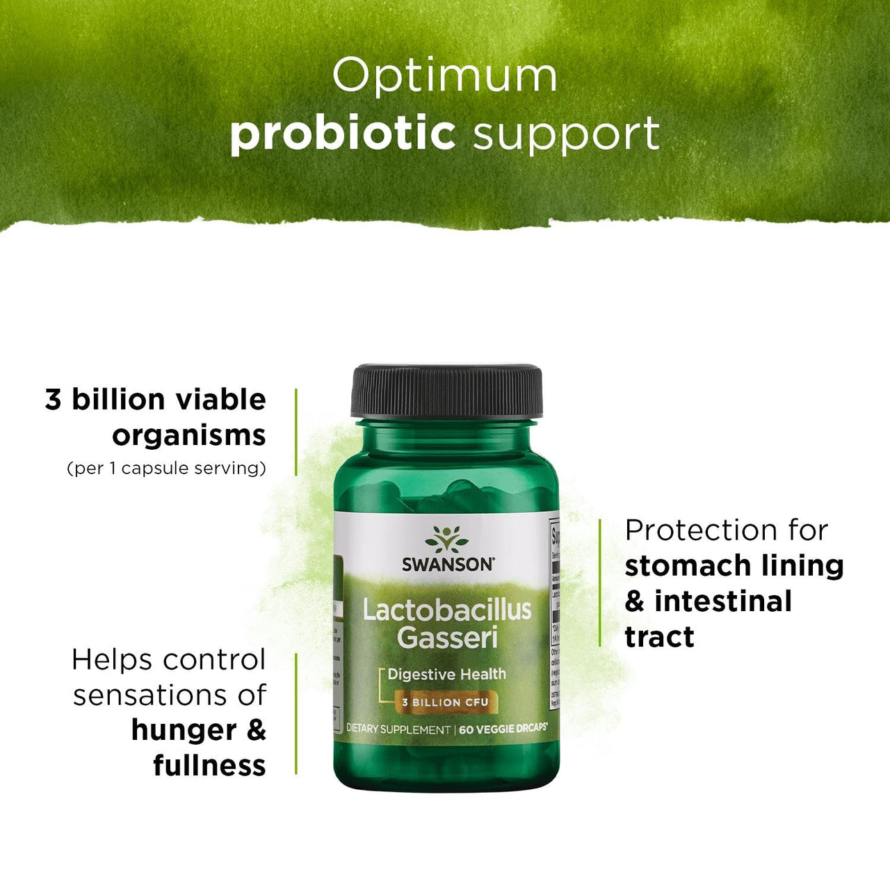 Swanson Lactobacillus Gasseri - Vegan Probiotic Supplement - Supports Energy Metabolism & Gut Health* - No Refrigeration Required - 60 Veggie Capsules