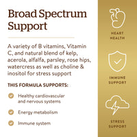 Thumbnail for Solgar B-Complex with Vitamin C Stress Formula, 250 Tablets - Energy Metabolism, Nervous System & Immune Support - Non-GMO, Vegan, Gluten Free, Dairy Free, Kosher - 125 Servings